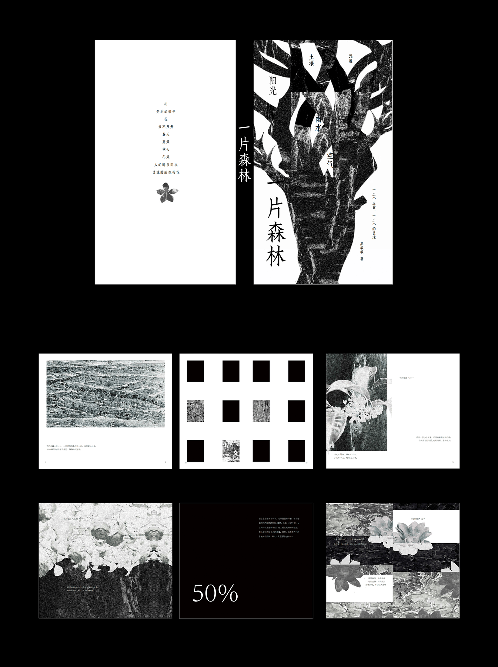 书籍设计《一片森林》作品预览